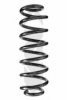 SPIDAN 86926 Coil Spring